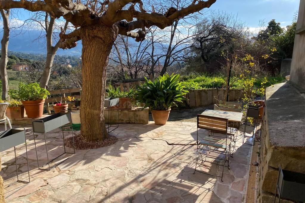 Maison Typique Corse A 10 Min D'Ajaccio Et Plages Alata Eksteriør bilde